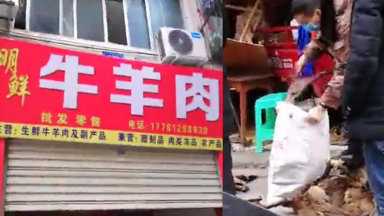 【四川一店铺疫情期仍卖野生动物,为掩人耳目招牌改为牛羊肉】2月4日,四川南充。在严峻的疫情